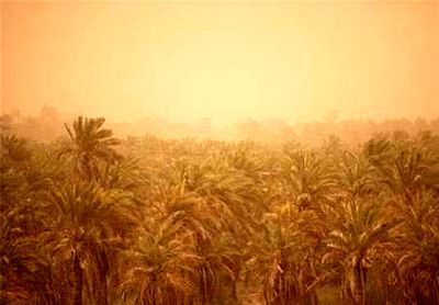 چاره ریزگردهای خوزستان چیست؟