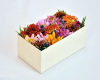 سفارش باکس گل های متنوع با گروه گل آنا تا ۷۰درصد تخفیف